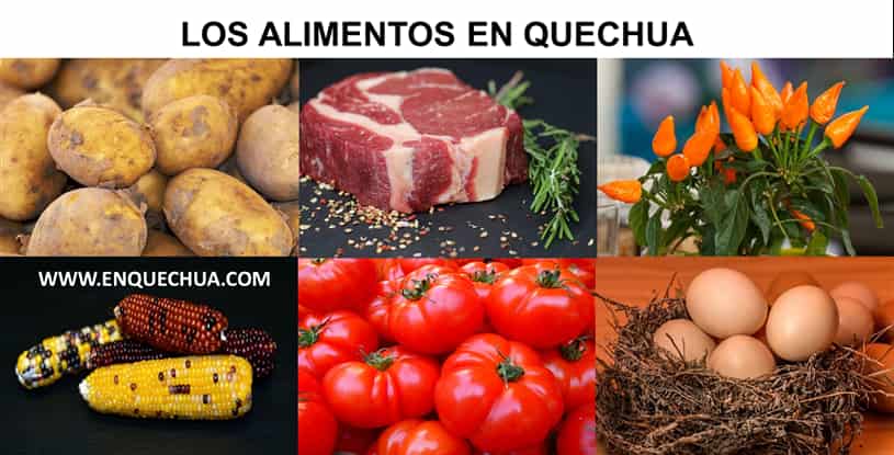 Mejor imagen de los alimentos en quechua