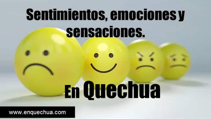 emociones y sentimientos en quechua