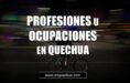 PROFESIONES Y OCUPACIONES EN QUECHUA